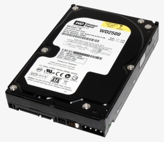 Sata Winchester #7057937