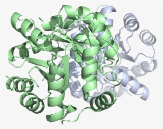 Pill Capsule Png #7059458