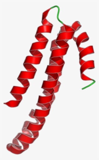 Peppers.png #7063940