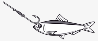 Bridle Live Bait #7065278