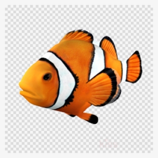 Clownfish Png Clipart Clownfish Clip Art #7065649