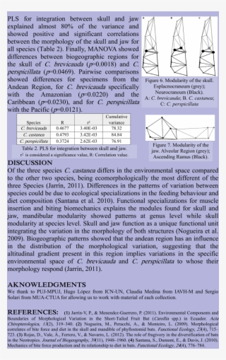 Deformation Grids Of The Jaw For The Three Species #7066211