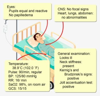There Is No History Of Allergies #7067218