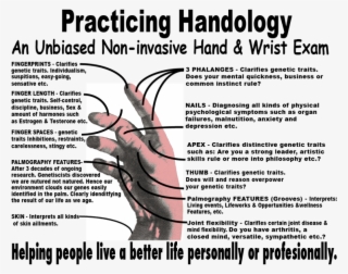 Handology Is A Non-invasive Exam Diagram Trnspt #7068046
