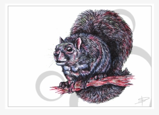 Squirrel Inkling #7070098
