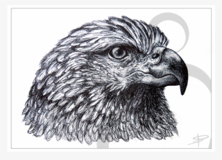 Eagle Inkling #7070449