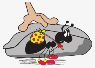 15 Ways To Get Rid Of Ants In The Kitchen Naturally #7072238