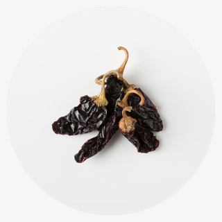 Chipotle Real Ingredients #7073495