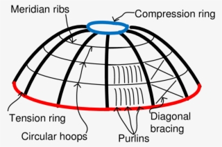 Primary And Secondary Members Of A Typical Radial Rib #7076794