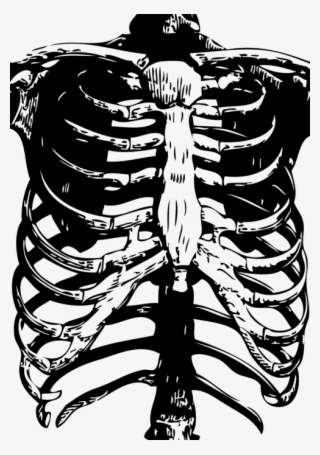 Click And Drag To Re-position The Image, If Desired #7076976