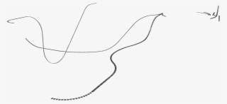 Track #7077460