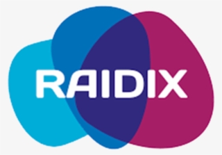 Raidix Is An Innovative Solution Provider And Developer #7079603
