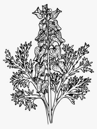 This Free Icons Png Design Of Western Bleeding Heart #7080513