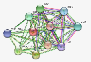 Sepf Protein #7081394