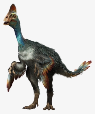 Chirostenotes Is A Genus Of Oviraptorosaurian Dinosaur #7084385