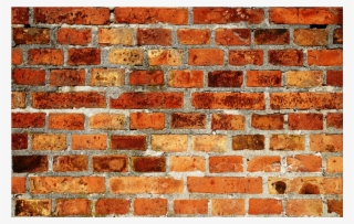 Wall Skins Pulp Art Surfaces Llc Pas #7087117