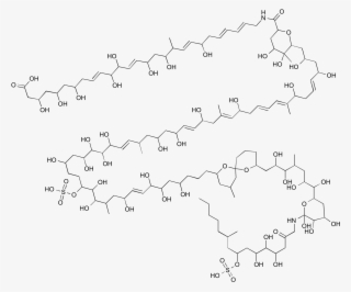 Zooxanthellamide A #7088756