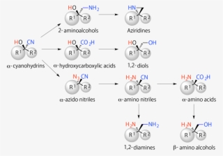 Α-cyanohydrins And Key Synthetic Intermediates For #7088918