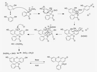 Fluorescein Synthesis #7089088