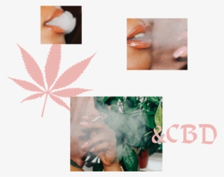 Headerpotential #7089447