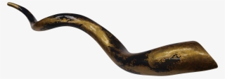How Is The Shofar Made #7090429