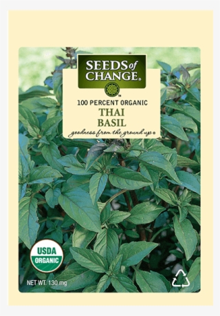 Organic Thai Basil Seeds #7092501