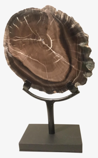 Petrified Wood Slice On Stand On Chairish #7093146
