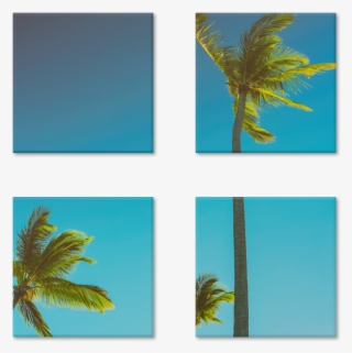 Magneto Coqueiros #7095059