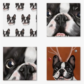 Feliz Natal De Olivana #7096271