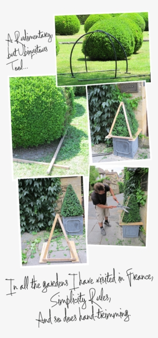 Simplicity Rules & So Does Hand-trimming #7097337