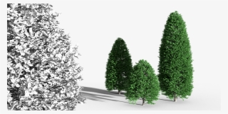 Hi Guys, My Name Is Ján Morek And I Have Started An #7097563