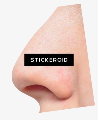 الإنسان أنف Png أنف #7099001