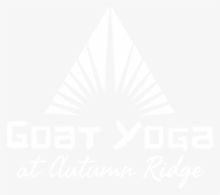 Why Goat Yoga #7099574 Why Goat Yoga #7099574