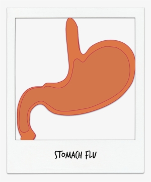 First Med Urgent Care - First Med Urgent Care, Llc #710106