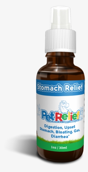 Pet Relief Dog Upset Stomach, Bloat And Gas Relief #710265