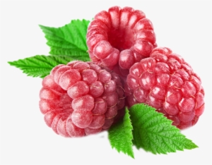 Raspberry Png #710841