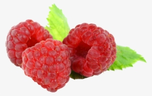 Raspberry Png #710844