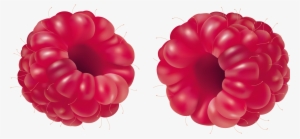 Raspberry Free Clipart Png #710892
