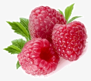 Rraspberry Png Image - Raspberries With Transparent Backgrounds #710998
