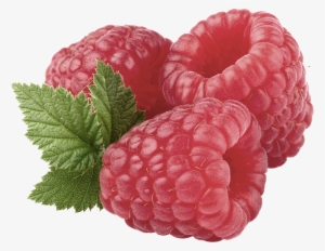 Composed Of Calcium, Iron, Potassium And Magnesium, - Benefits Of Eating Raspberries #711323