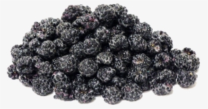 Black Raspberries Png Transparent Image - Silk Road Gunpowder #711346