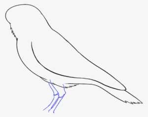 How To Draw A Raven - Sketch - Free Transparent PNG Download - PNGkey