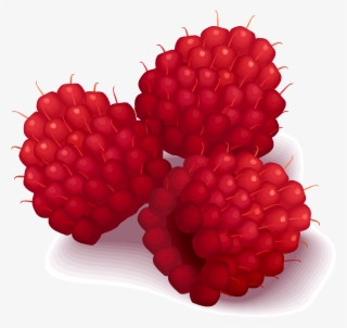 Open - Raspberry Clip Art #711452