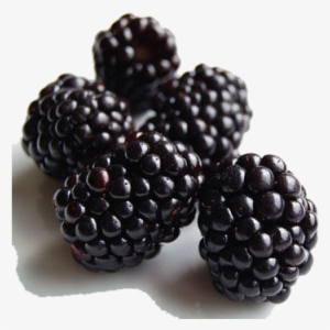 Black Raspberries Png Clipart - Black Raspberry Fruit #711566