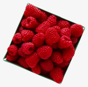 Framboises Png, Tube Fruit - Red Raspberry #711631
