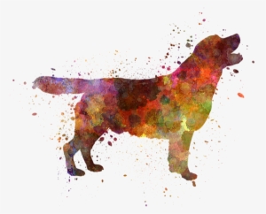 Labrador Retriever 01in Watercolor #712001