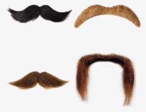 Mustaches - Moustache #712283