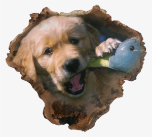 "chew Toy" - Cocker Spaniel #712345