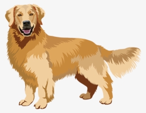 Realistic Dog Art Has Stickers - Golden Retriever Art Png #712469
