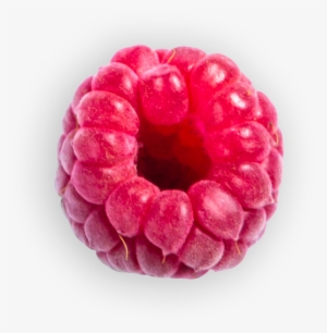 Also, May Contain Nuts, Peanuts, Milk And Soya - Raspberry #712553